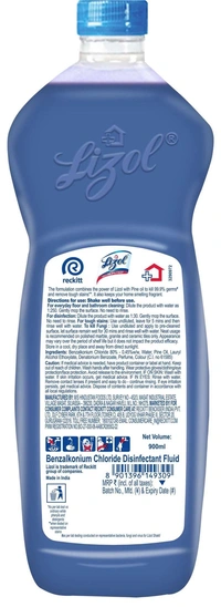 Lizol Shakti Aqua Fresh Floor Cleaner 900 ml