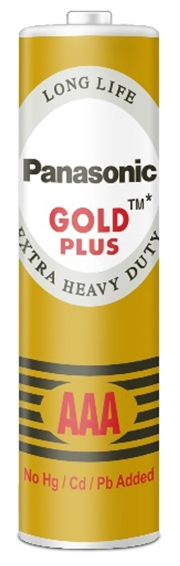 Panasonic Gold AAA Remote Cell Batteries 10 N