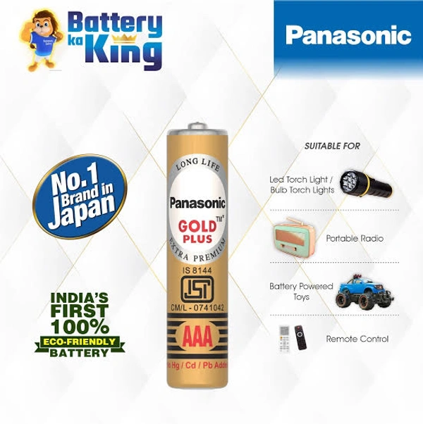 Panasonic Gold AAA Remote Cell Batteries 10 N