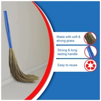 Cello Kleeno Eco Swachh grass Assorted Broom 1 N