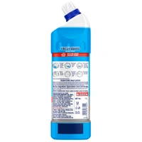 Domex Toilet Cleaner Ocean Fresh 1 L