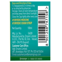Zandu Ayurvedic Cough Syrup 100 ml