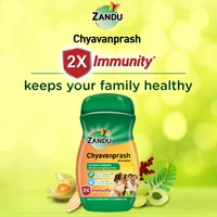 Zandu Chyavanprash Avaleha 900 g