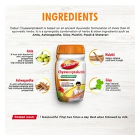 Dabur Chyawanprakash (Sugar Free) 500 g