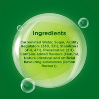 Limca Can 300 ml