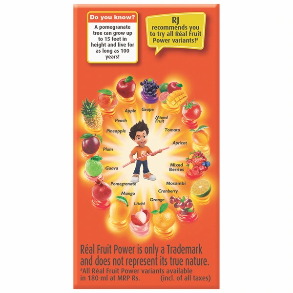 Real Fruit Power Pomegranate Drink 125 ml