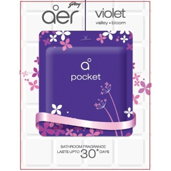 Godrej Aer Let Valley Bloom Pocket Air Freshener 10 g