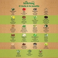 Kesh King Ayurvedic Hair Oil 4 N (100 ml Each)