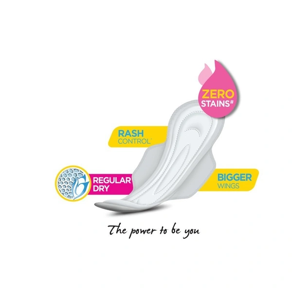 Comfy Snug Fit Regular Dry Sanitary Pads 18 N