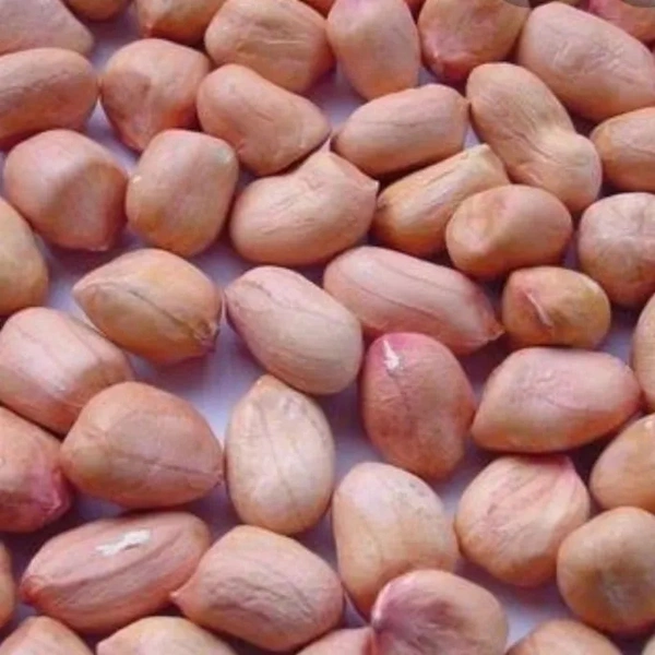 Moongfali Dana@250g