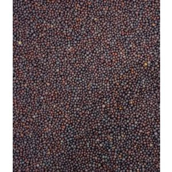 Black Sarso @1kg