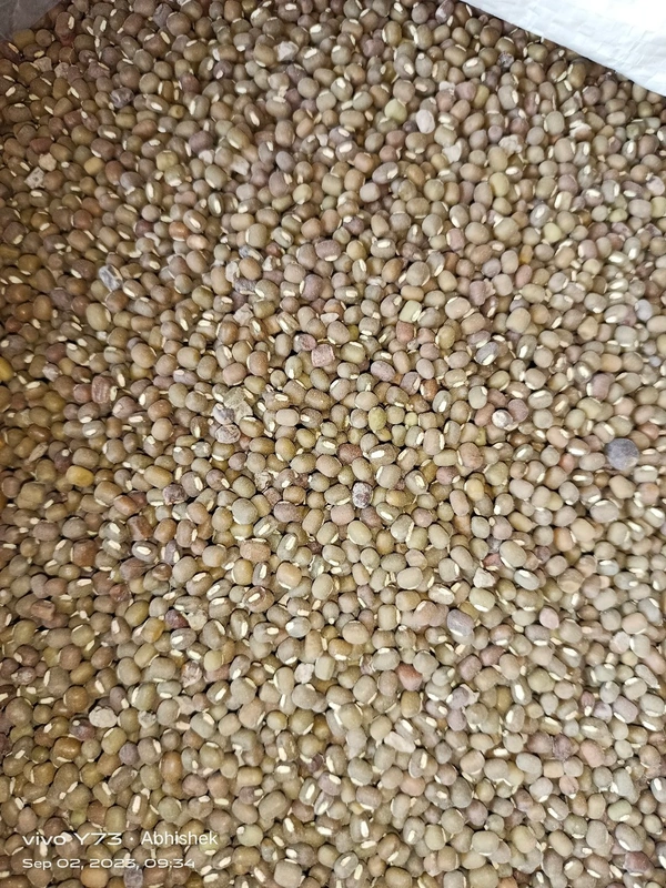 Sabut Urad@250g