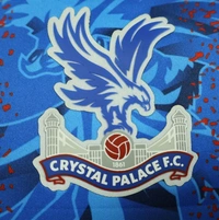 Crystal Palace Home Player Version Jersey 2024/25 - L