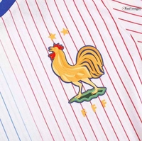 France Away Player Version Jersey EURO 2024 - 2XL