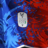 Crystal Palace Home Player Version Jersey 2024/25 - M