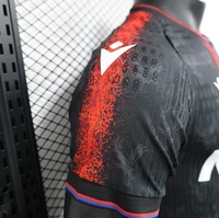 Crystal Palace Third Player Version 24/25 - XL