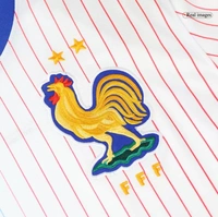 France Away Soccer Jersey EURO 2024 - L