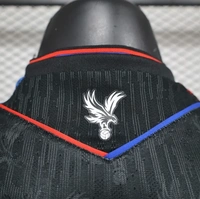 Crystal Palace Third Player Version 24/25 - XL
