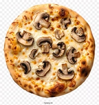 Mushroom 🍄 Pizza 🍕