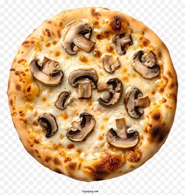 Mushroom 🍄 Pizza 🍕