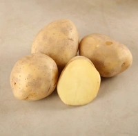 Potato (Aloo) - 0.95-1.05kg