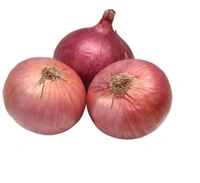 Onion (Pyaz) - 0.95-1.05kg