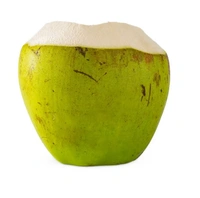 Tender Coconut (Nariyal) - 1piece