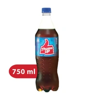 Thums Up Soft Drink (750 ml)