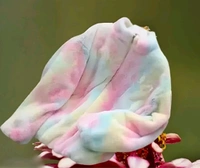 Jain Clothes GIRLS-FASHIONABLE-WEARName: GIRLS-FASHIONABLE-WEAR - multicolore, L