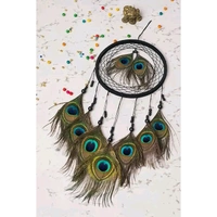 Dream Catchers - Wall Hanging Products for Home Decoration Bedroom Livingroom Balcony - Handmade Dreamcatcher for Positivity Vibes Feathers Wall Decoration Items for Kids Room (22L x 45H cm)