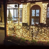 50 MTR WARM WHITE DIWALI LIGHT