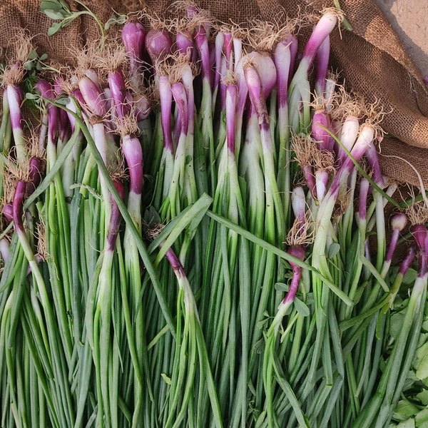 हरा प्याज / Green Pyaj - 1Kg
