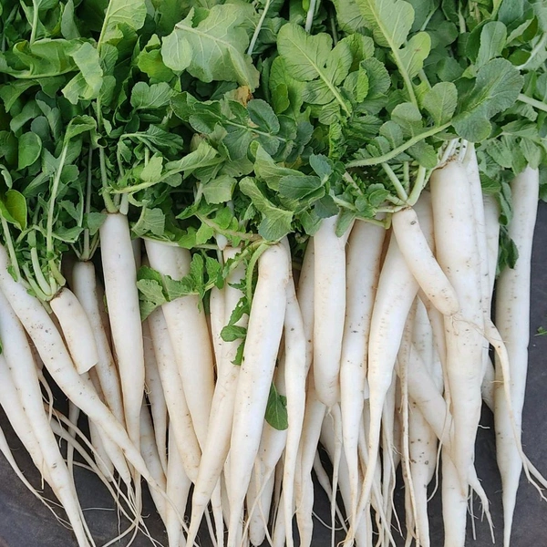 मुली / Muli - 1Kg