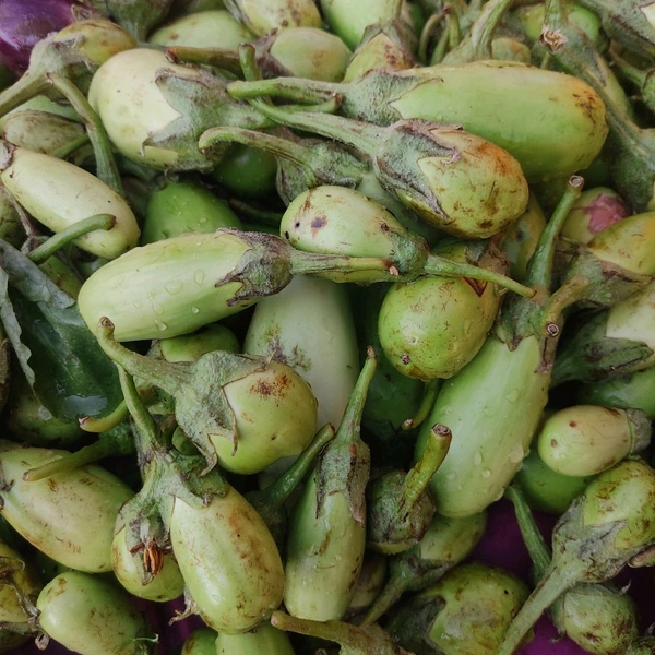 बैंगन सादा / Baingan Sada - 1Kg
