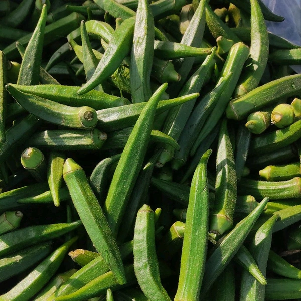 भिंडी / Bhindi - 1Kg
