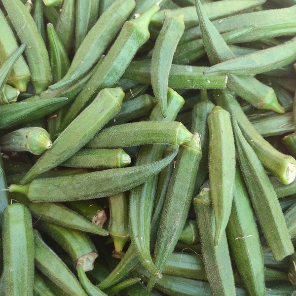 भिंडी / Bhindi - 500g