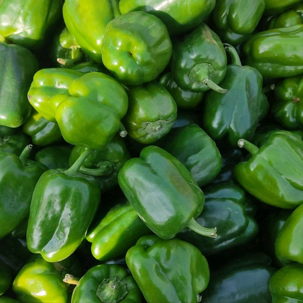 शिमला मिर्च / Shimla Mirch - 1Kg