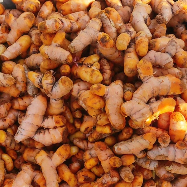हल्दी / Haldi - 500g