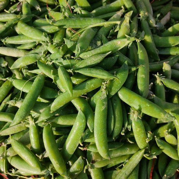 मटर / Matar - 1Kg