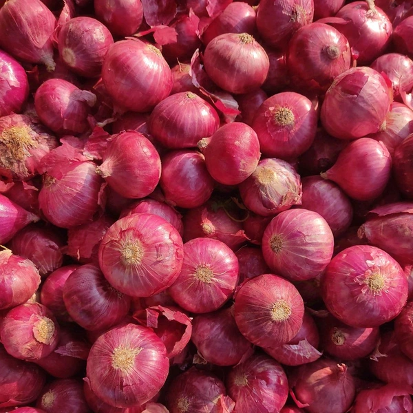 सुखा प्याज / Sukha Pyaj - 250g