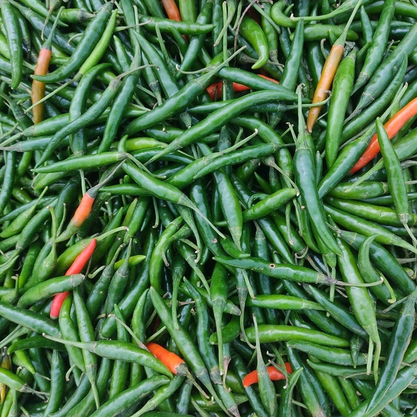मिर्च G4 / Mirch G4 - 250g