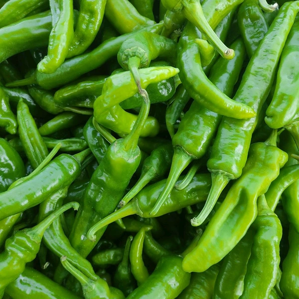 मिर्च / Mirch - 500g
