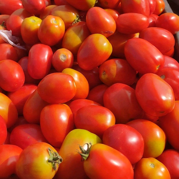 टमाटर / Tamatar - 250g