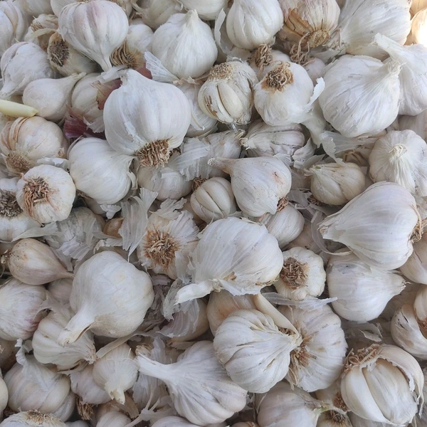 लहसुन / Lahsun - 1Kg