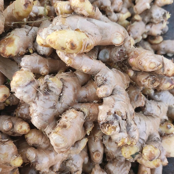 अदरक / Adarak - 1Kg