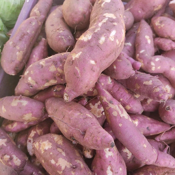 सकरिया / Sweet Potato - 1Kg