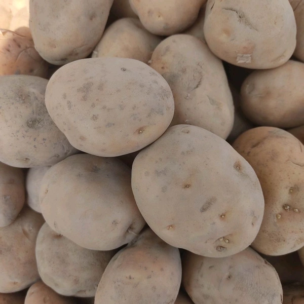 आलु / Aaloo - 4Kg