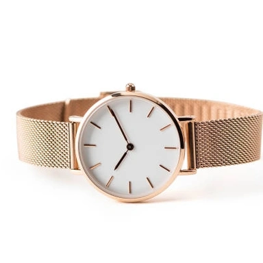 Ladies Watch