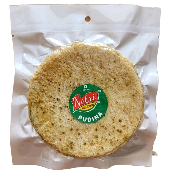 PUDINA DOSA KHAKHRA