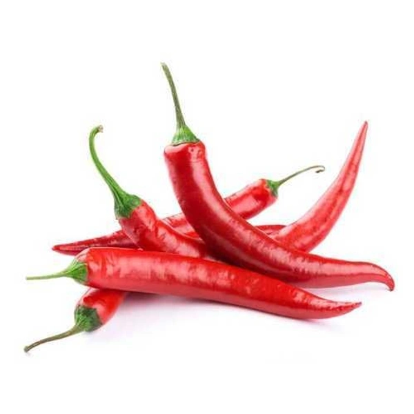 Red Chilli Nilwa  Pachhadi - 250 Grams
